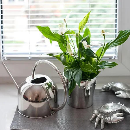 شقة Piwna Number 1