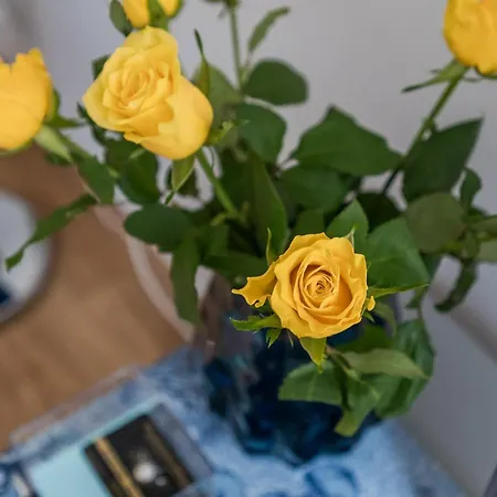 Piwna Number 1 Gdańsk