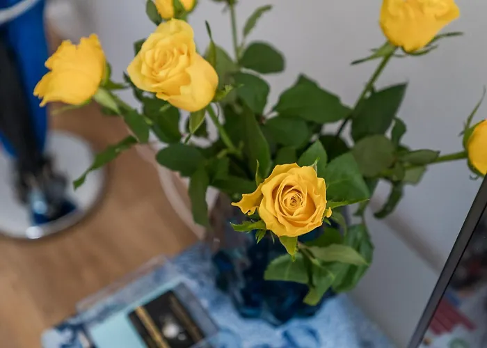 Piwna Number 1 Gdańsk